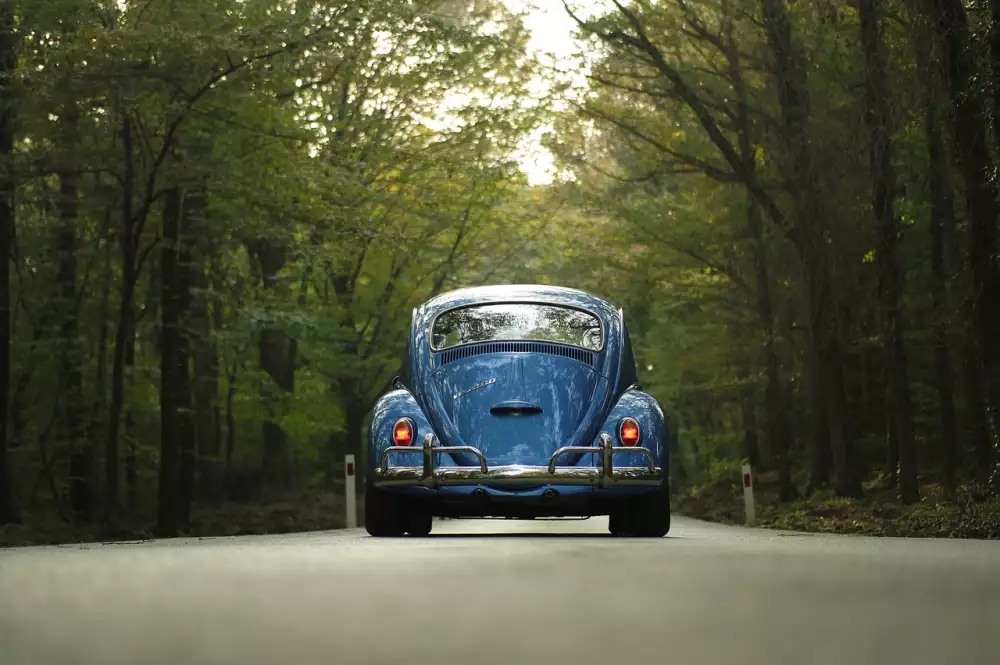 Vw Beetle